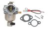 20 853 92-S - Carburetor Kit (Nikki)